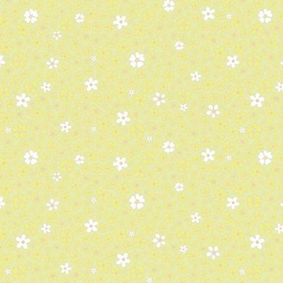 Adakids Duvar Kağıdı 8930-2